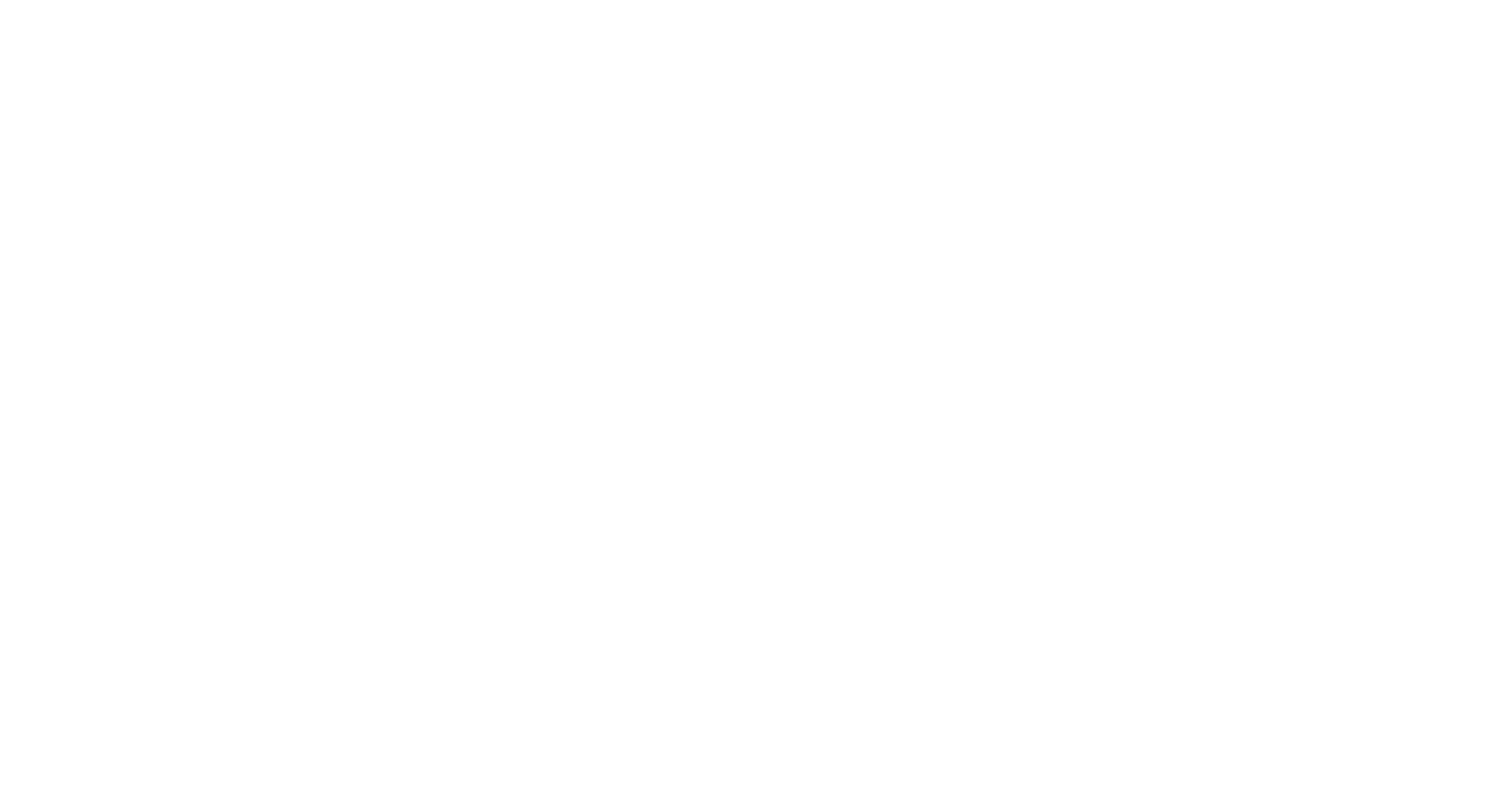 Denora Logo White